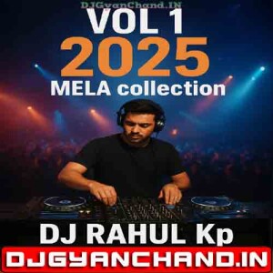 Sala Jhooth Bole La Troll Mix 2025 Mela Collection - Dj Rahul Kp